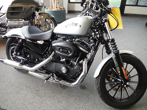Used 2015 Harley Davidson Sportster 883